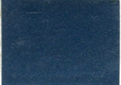 1981  Nissan Blue Black Metallic
